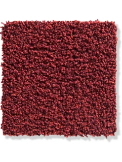 Aberdeen Velours-Teppichboden, Karmin 110