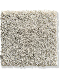 Amador Velours-Teppichboden, Pearl 05
