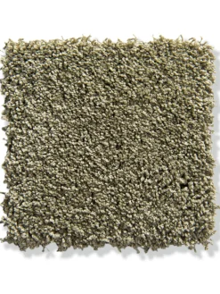 Amador Velours-Teppichboden, Olive 24