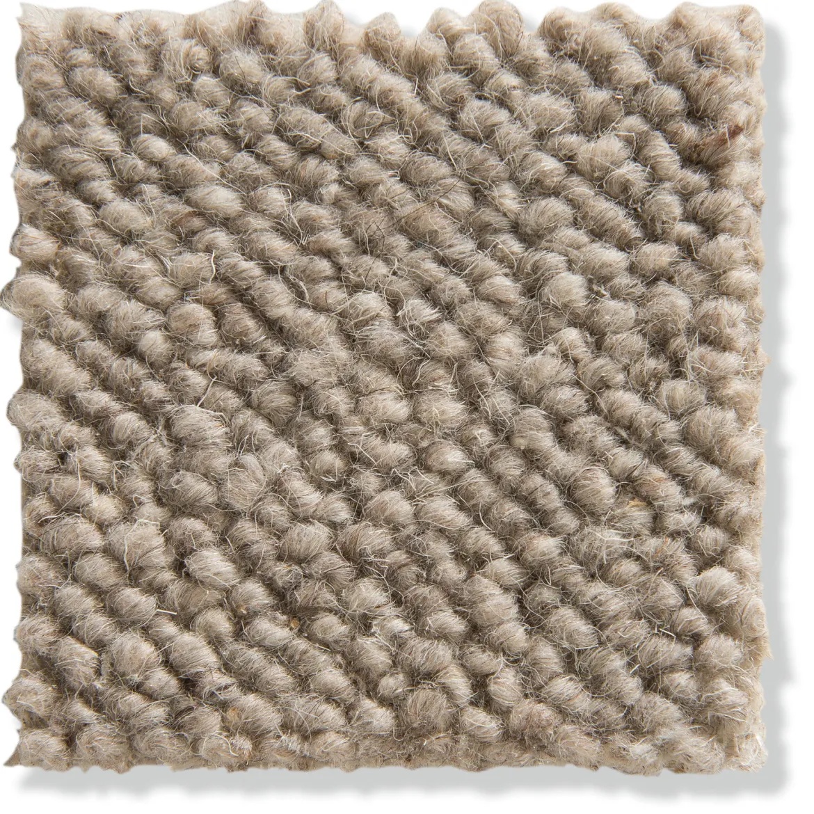 Auckland Woll-Teppichboden, Desert 40