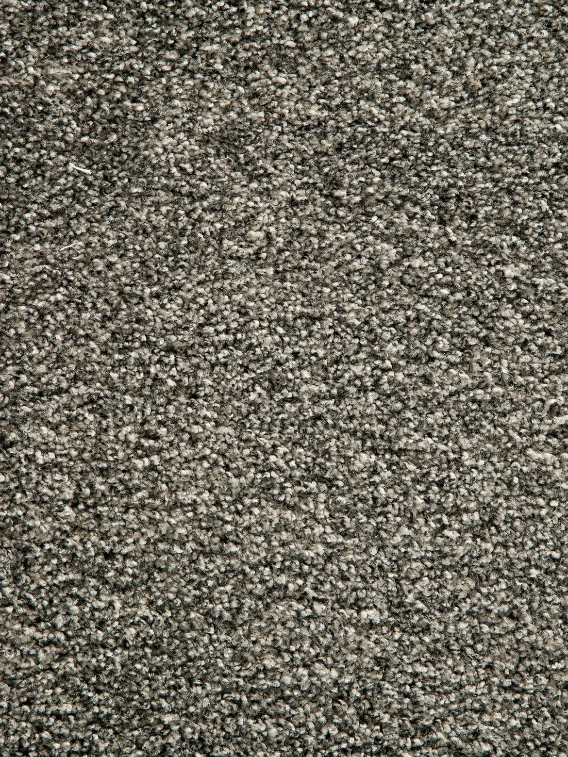 Belfort Moderner Teppich, Anthrazit
