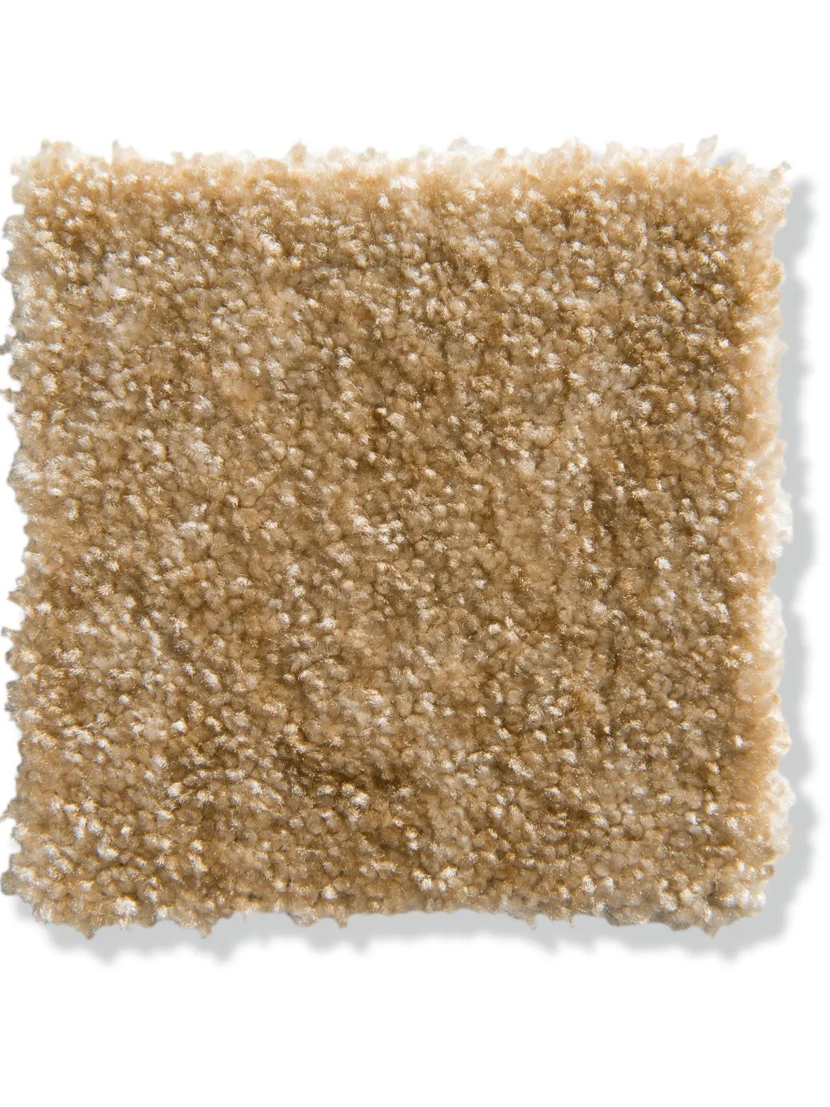Calvera Velours-Teppichboden, Kalahari 35