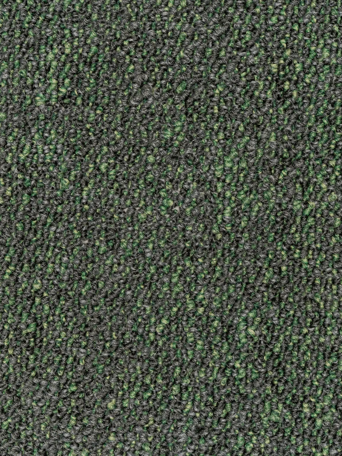 Chroma Teppichbodenfliese, Farn 142