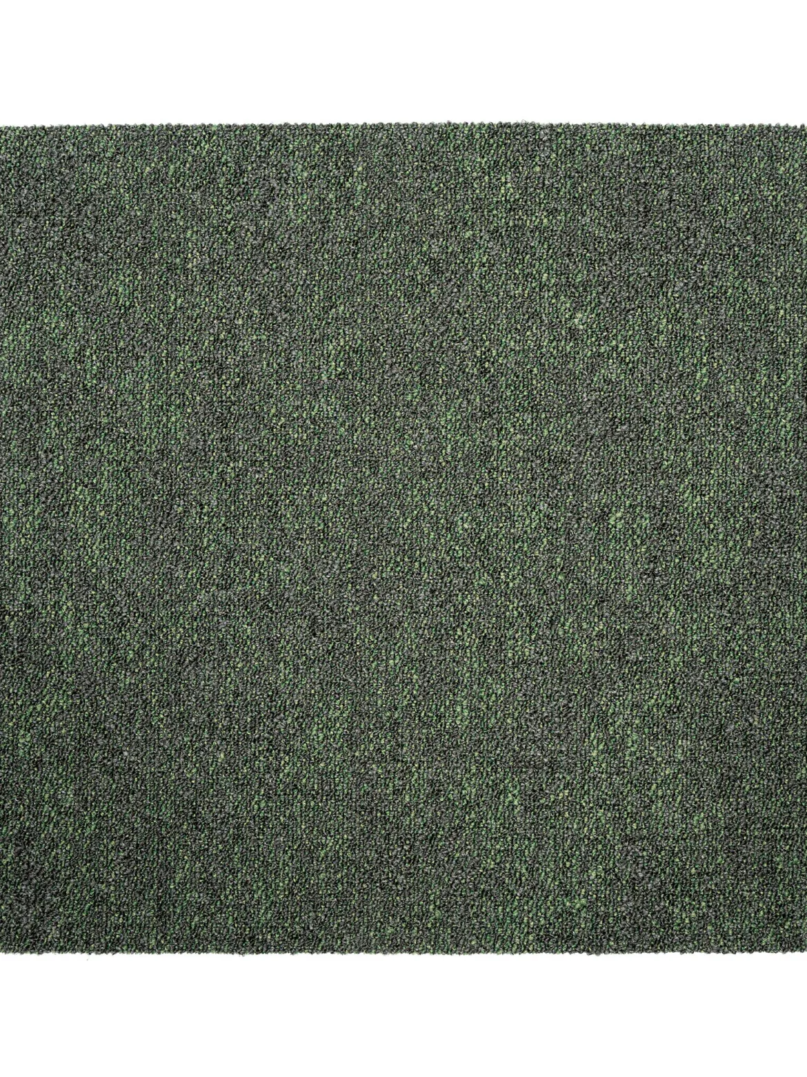 Chroma Teppichbodenfliese, Farn 142