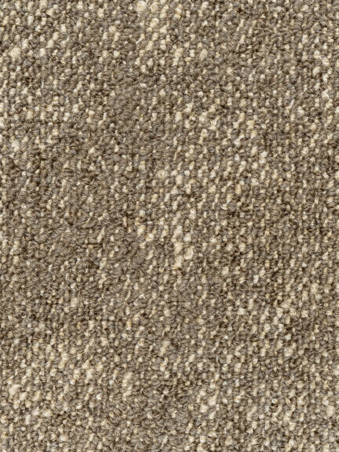 Chroma Teppichbodenfliese, Taupe 70