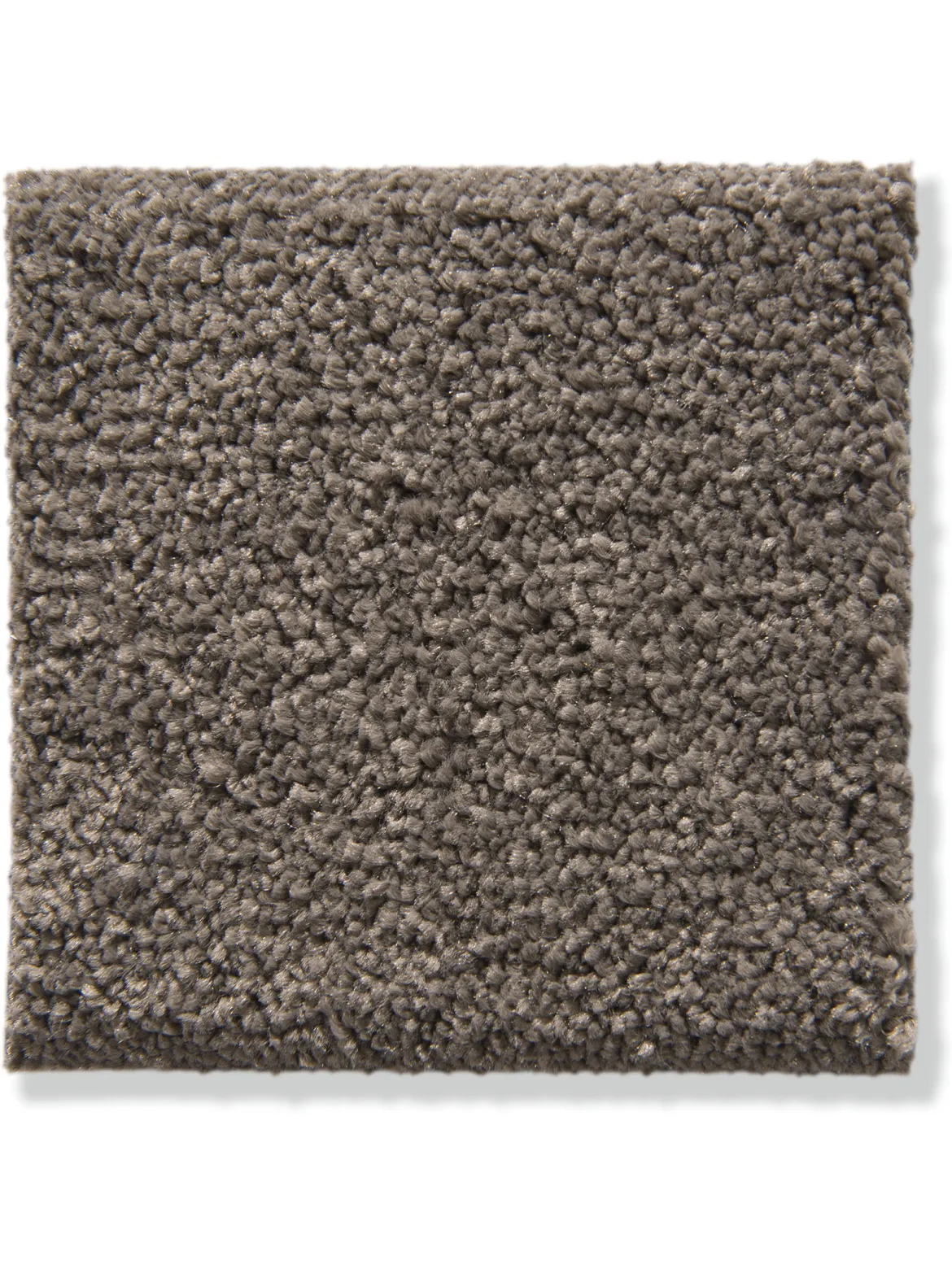 Cirella Velours-Teppichboden, Mocca 47