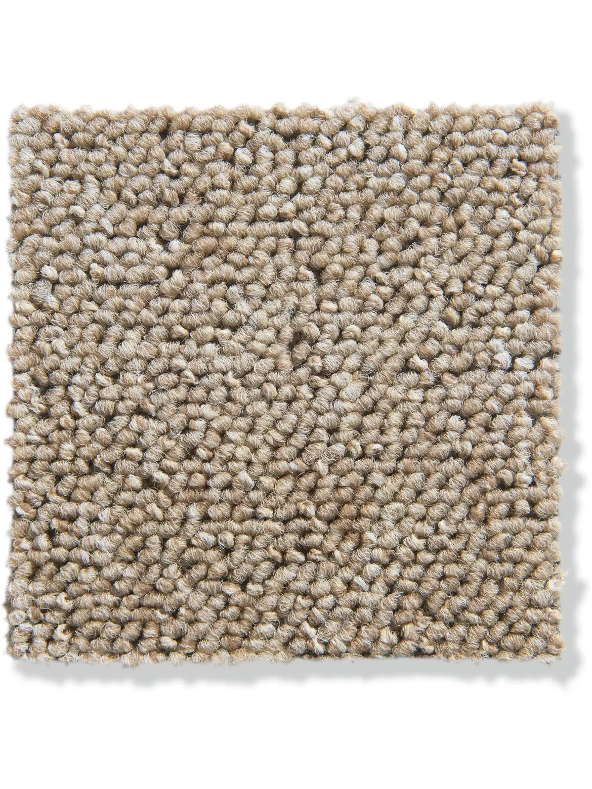 Color Schlingen-Teppichboden, Creme 13