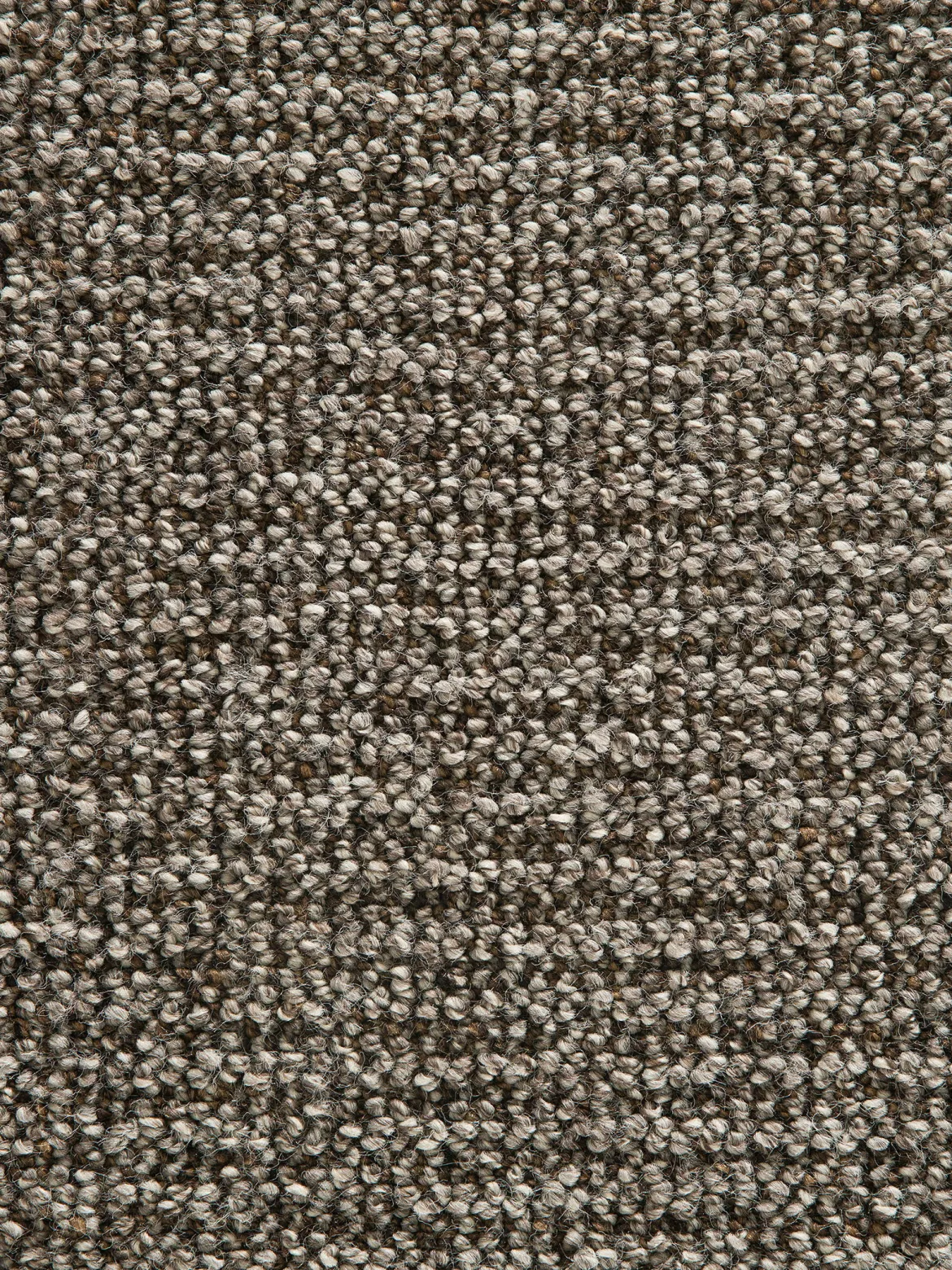 Coredo Hochflor-Teppich, Braun