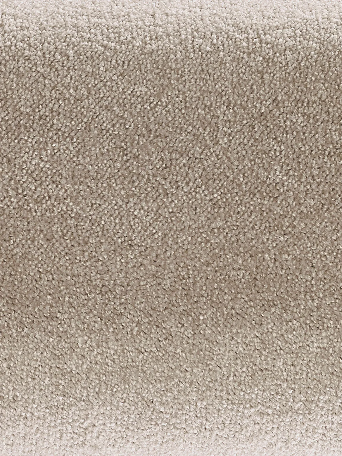 Emotion Velours-Teppichboden, Desert 37