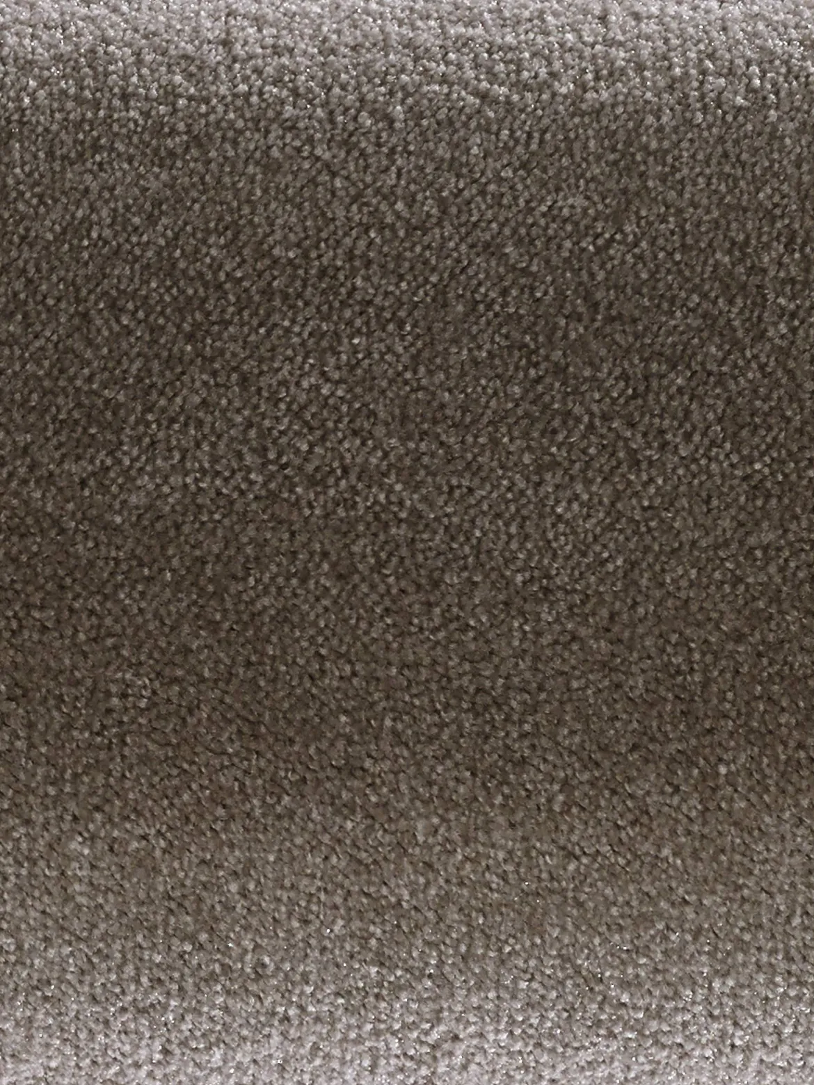 Emotion Velours-Teppichboden, Muskat 44