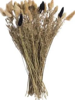 Flowerbouquet Trockenblume, Natural
