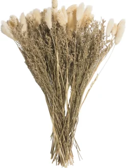 Flowerbouquet Trockenblume, Beige