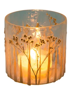 Junco Windlicht, Klarglas
