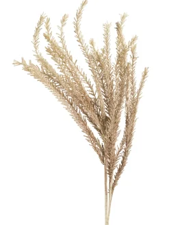 Klariola Kunstblume, Hellbraun