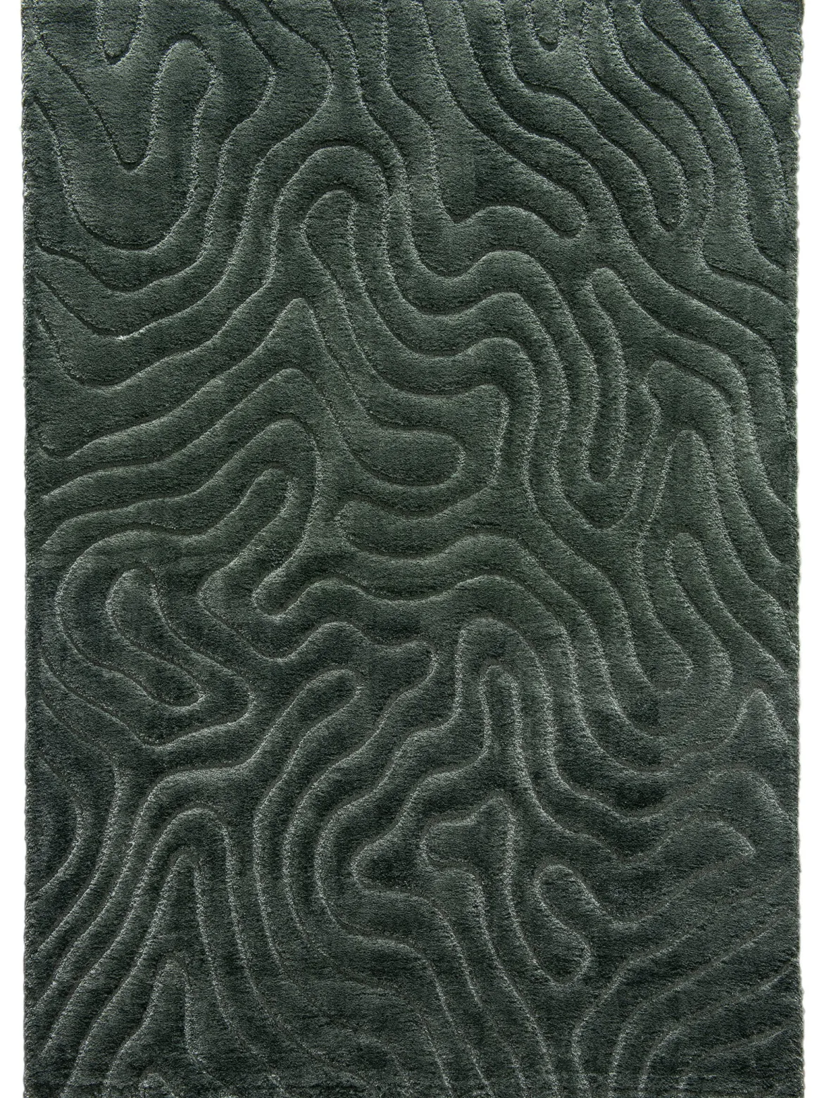 Lambari Moderner Teppich, Forest