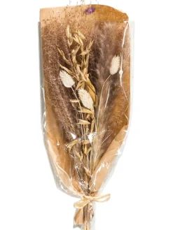 Lytra Trockenblume, Natur/Beige