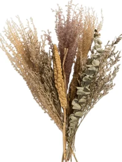 Lytra Trockenblume, Natur/Grün