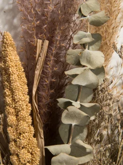 Lytra Trockenblume, Natur/Grün
