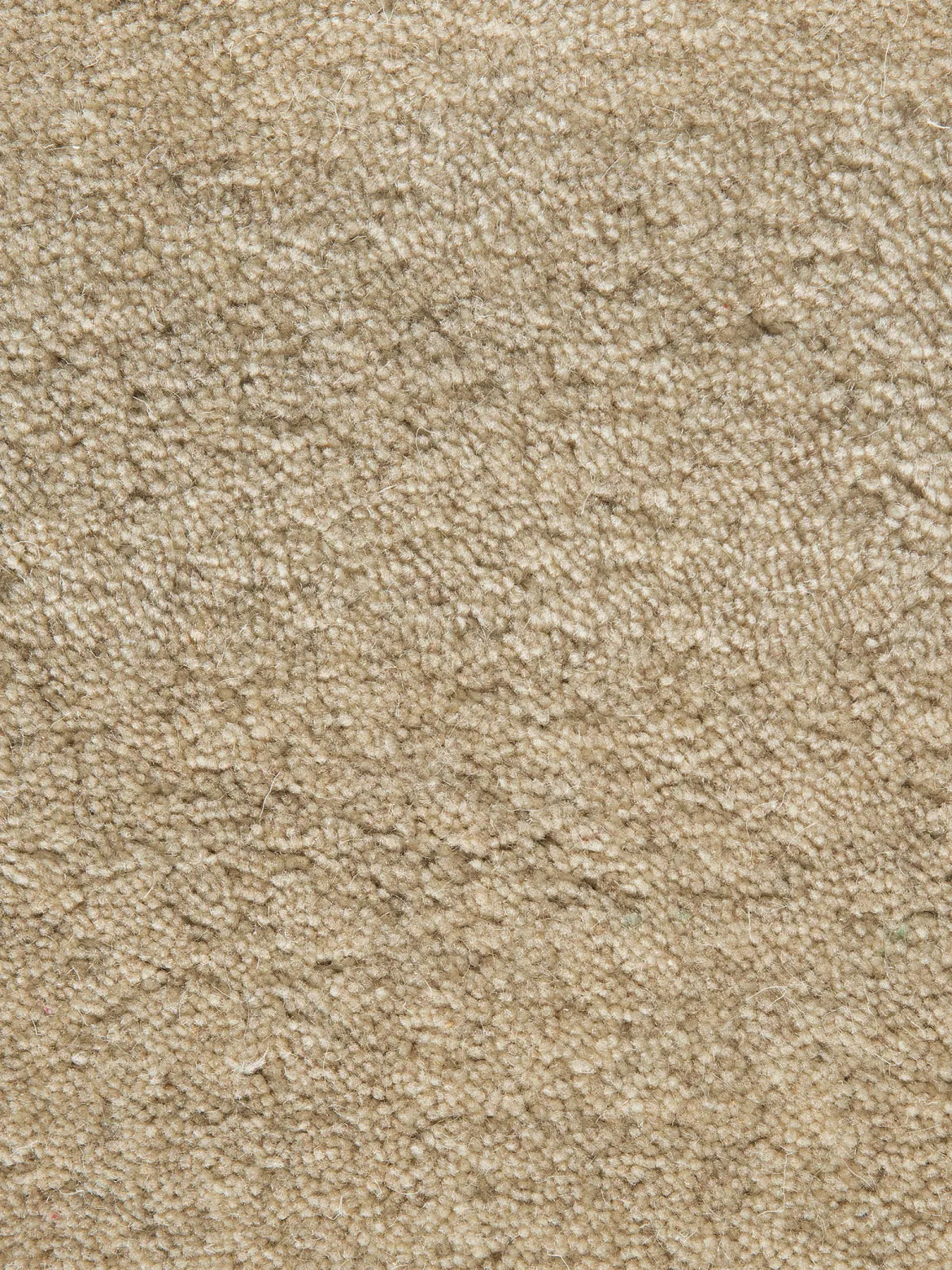 Mavora Woll-Teppich, Sand