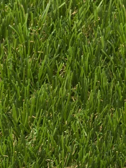Naturale Green Rasen-Teppichboden, Dark Green 5013