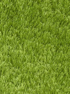 Naturale Green Rasen-Teppichboden, Light Green 5088