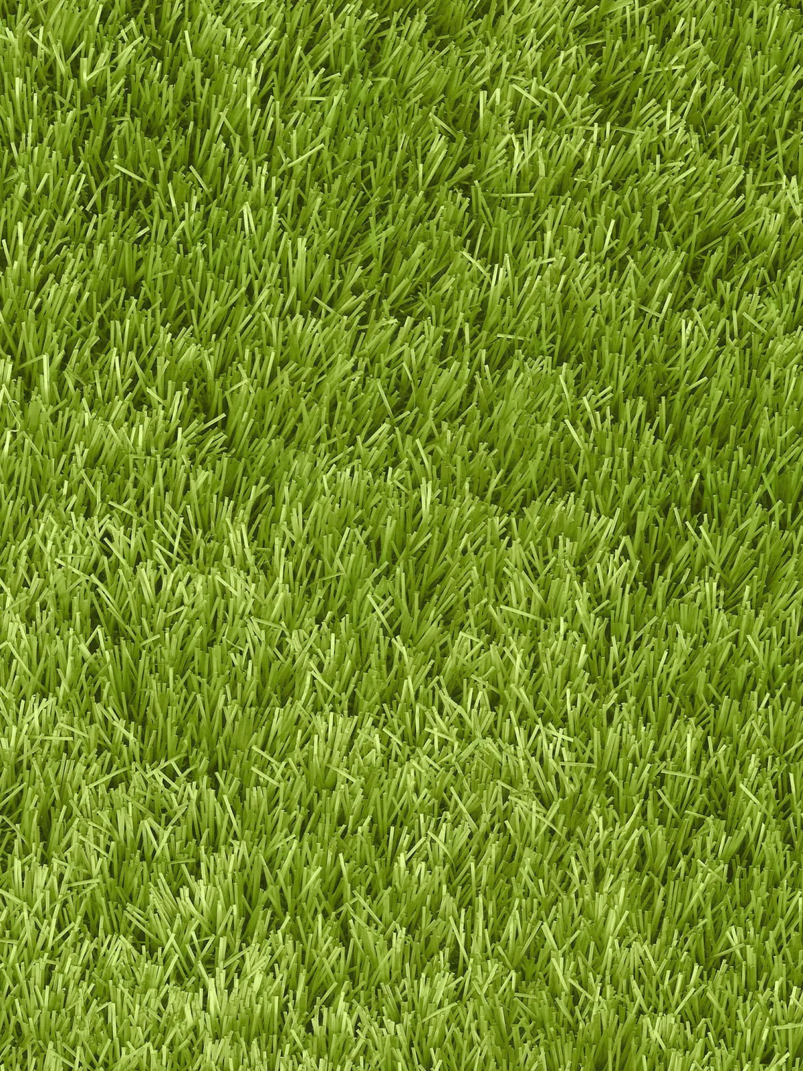 Naturale Green Rasen-Teppichboden, Light Green 5088