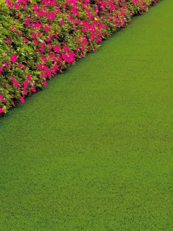 Naturale Green Rasen-Teppichboden, Light Green 5088