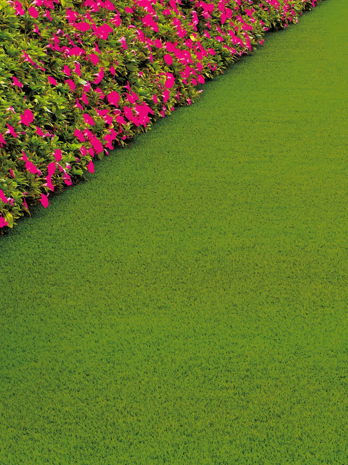 Naturale Green Rasen-Teppichboden, Light Green 5088