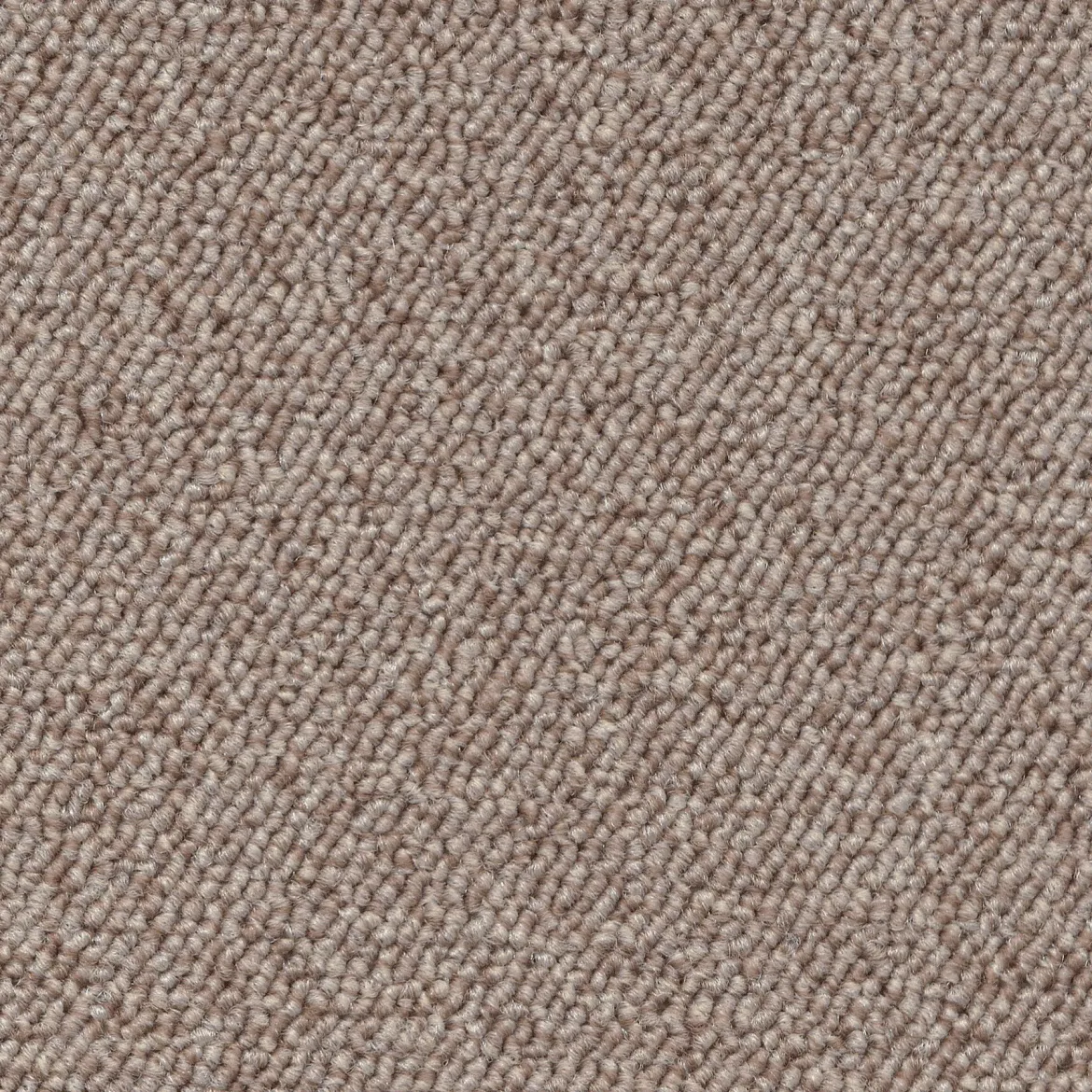 Optimal Schlingen-Teppichboden, Beige 33