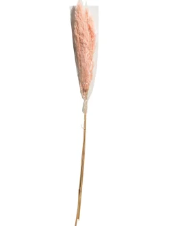 Pampasgrasbündel 3er Trockenblume, Pink