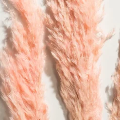 Pampasgrasbündel 3er Trockenblume, Pink