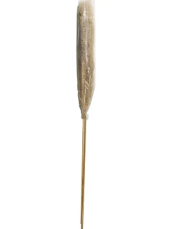 Pampasgrasbündel 3er Trockenblume, Natur