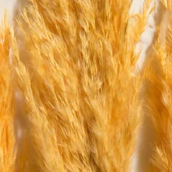 Pampasgrasbündel 3er Trockenblume, Gold