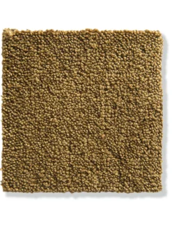 Parma Velours-Teppichboden, Gold 50