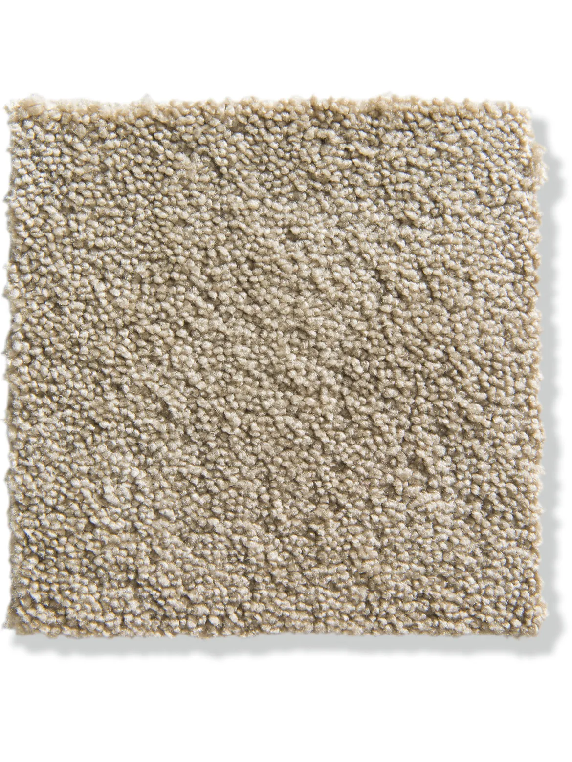 Parma Velours-Teppichboden, Pearl 72