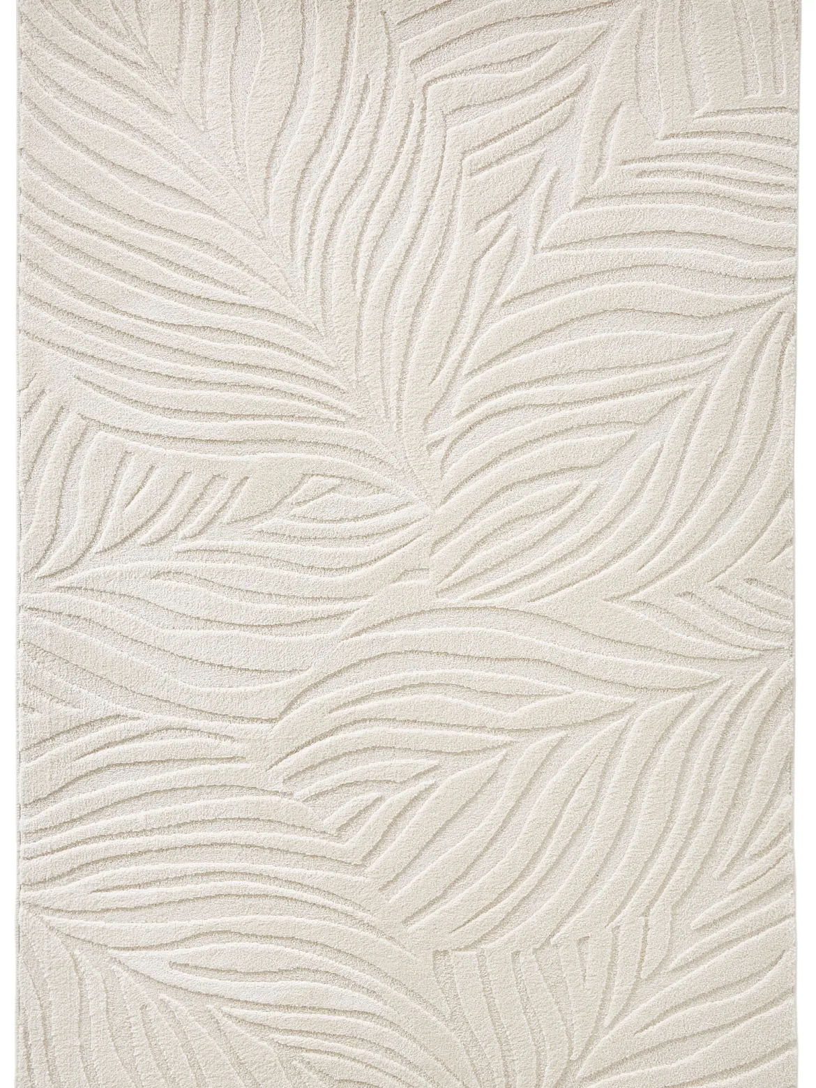 Pianta Moderner Teppich, Ivory