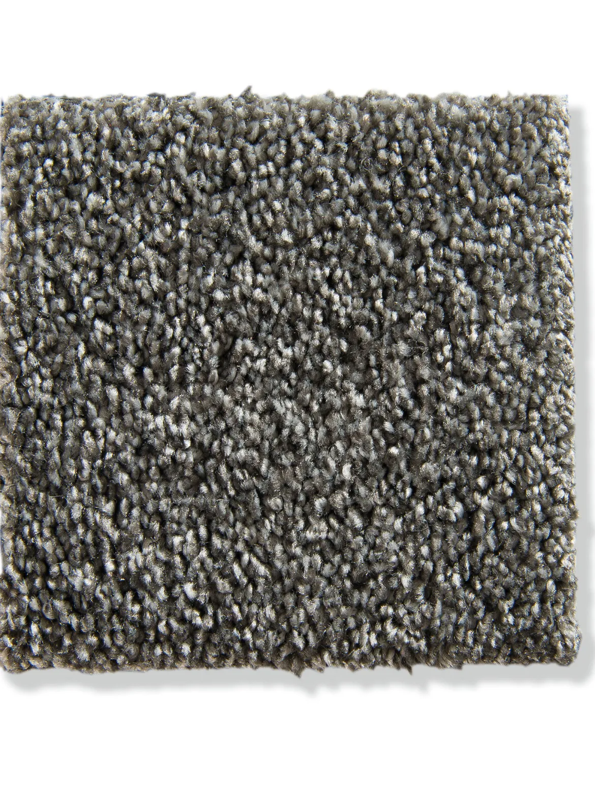Praia Velours-Teppichboden, Taupe 74