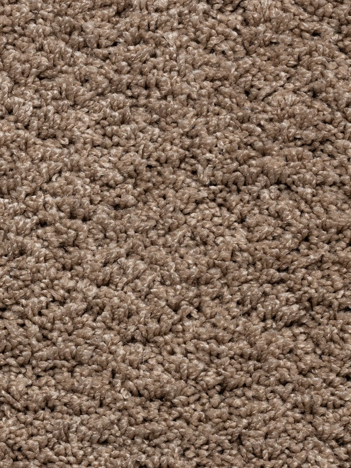 Premia Teppichbodenfliese, Taupe 92