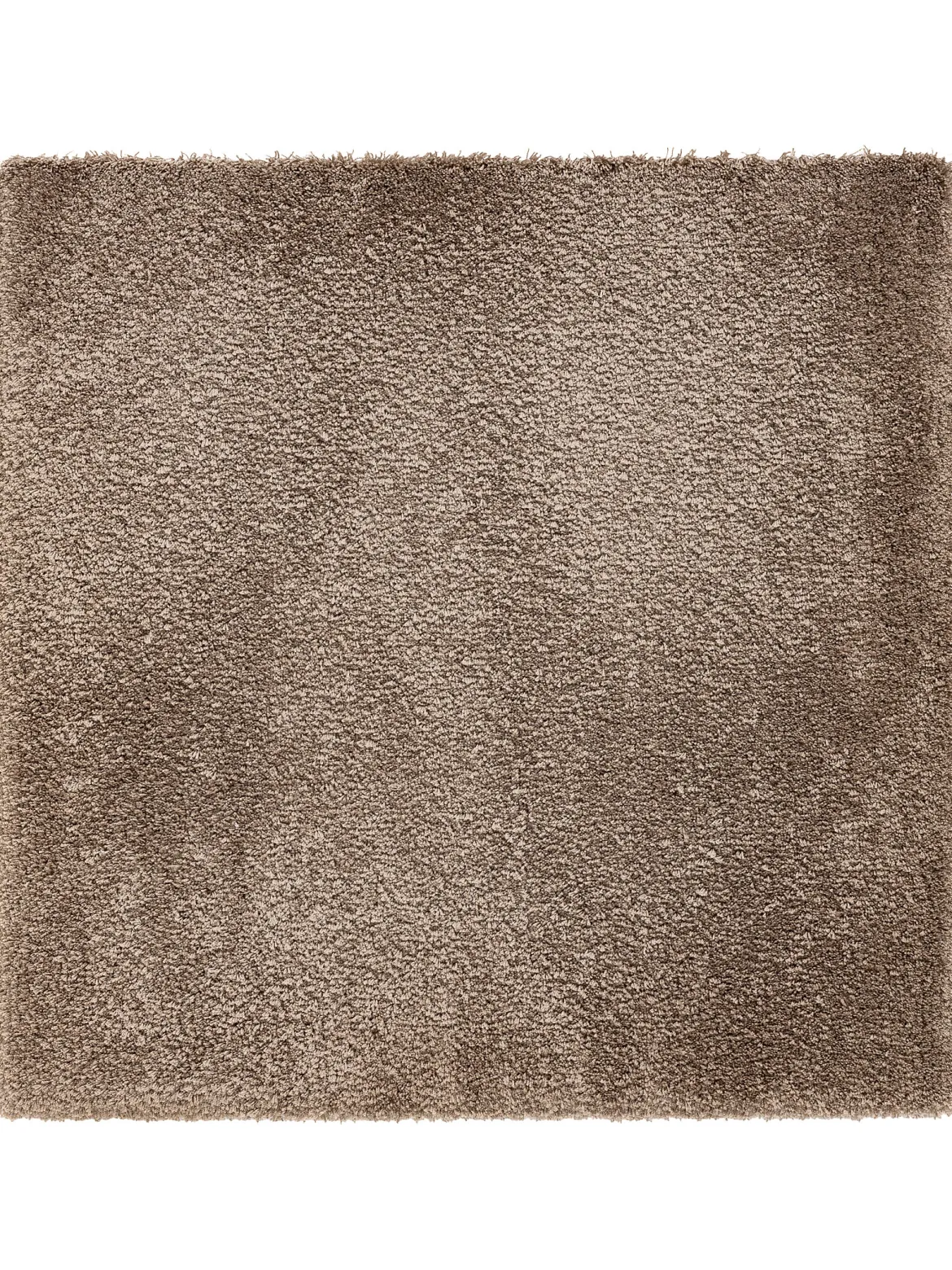 Premia Teppichbodenfliese, Taupe 92
