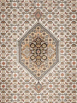 Rawara Bidjar Orient-Teppich, Beige