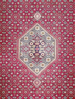 Rawara Bidjar Orient-Teppich, Red