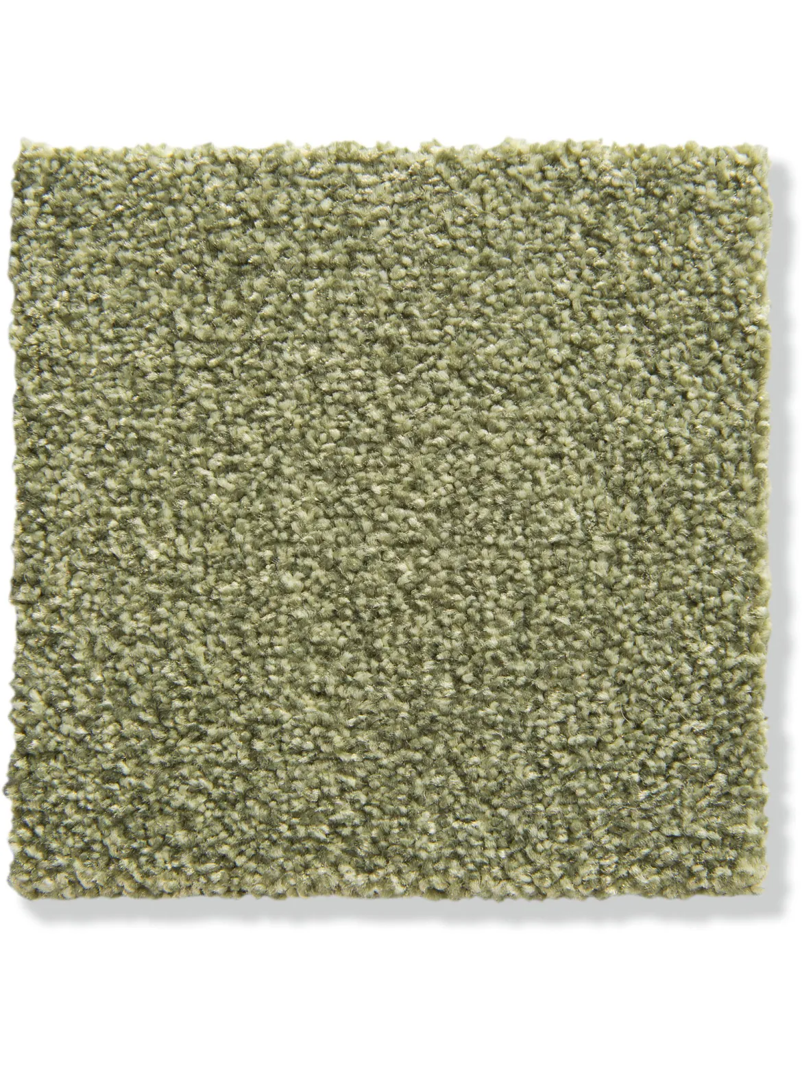 Salerno Velours-Teppichboden, Green 23