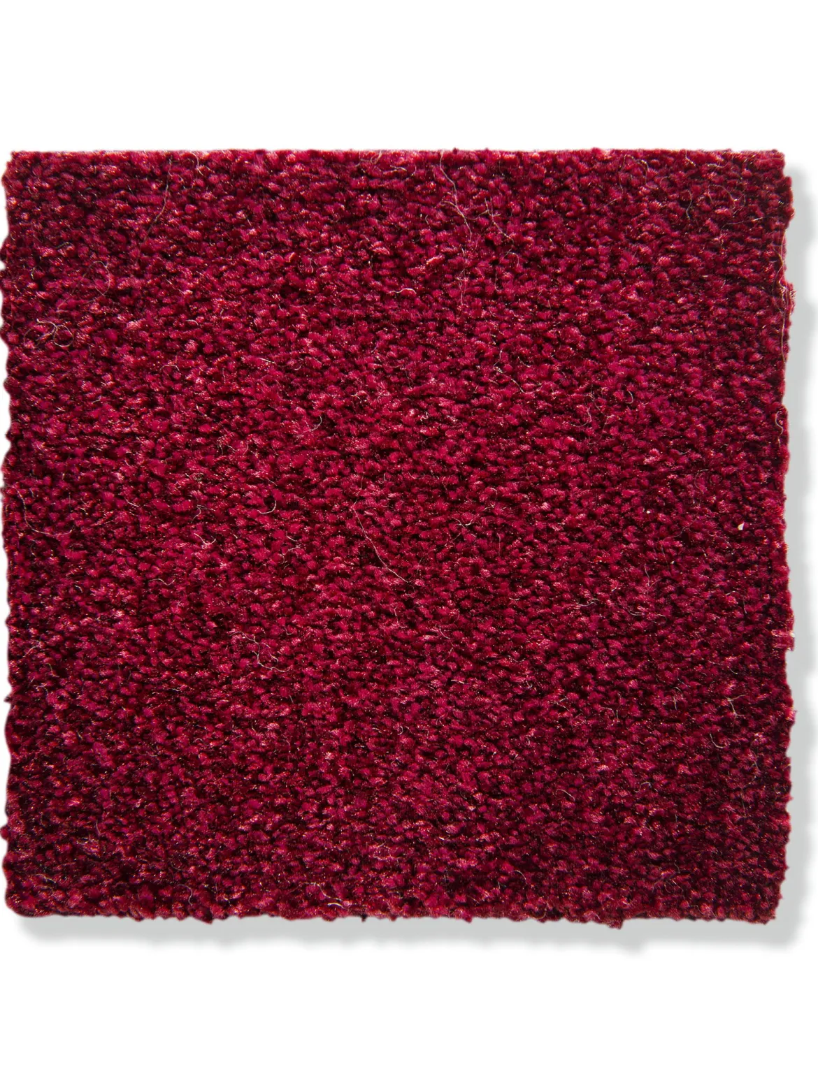 Salerno Velours-Teppichboden, Rubin 15