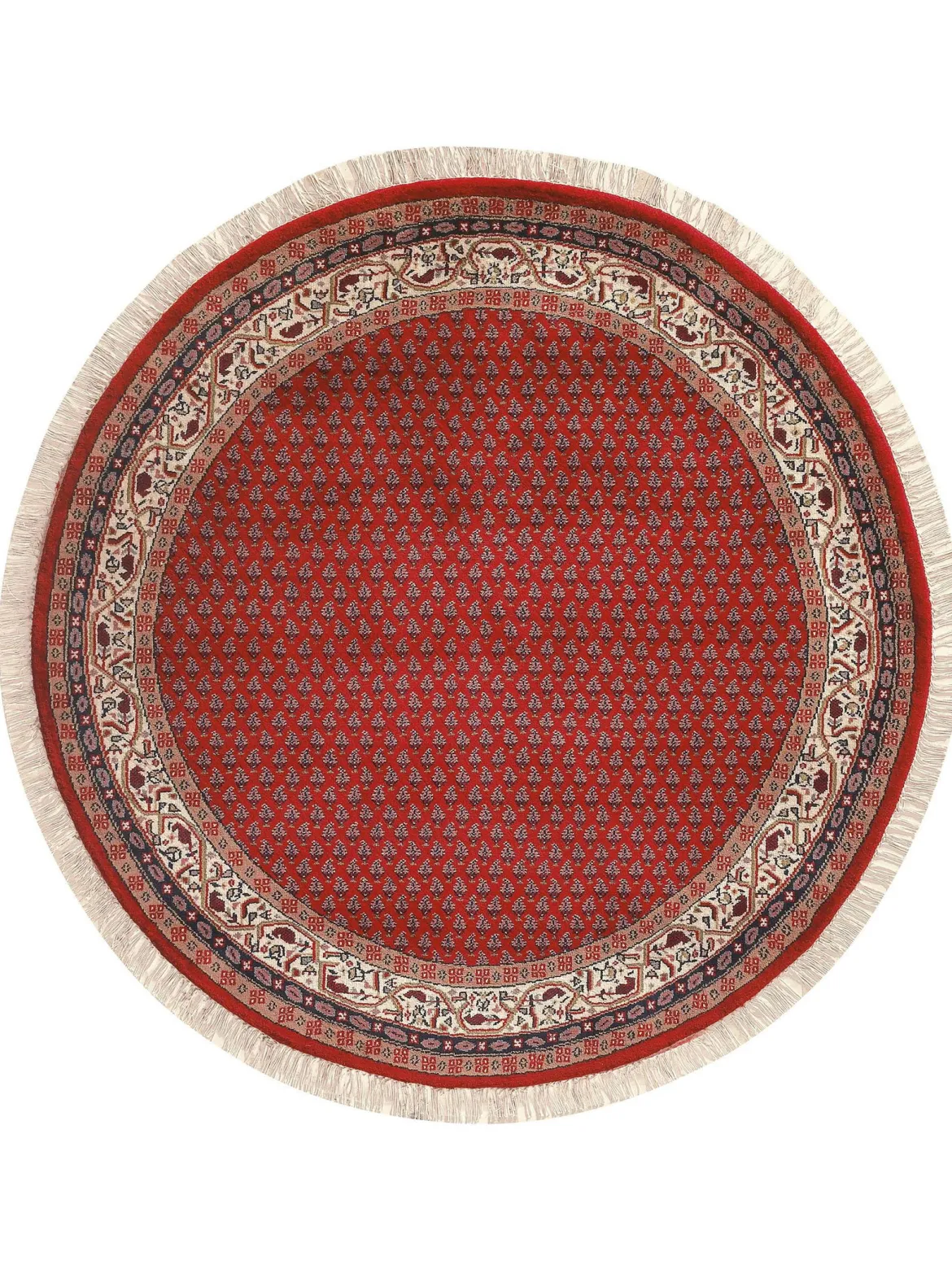 Sarough Mir Orient-Teppich, Rubin