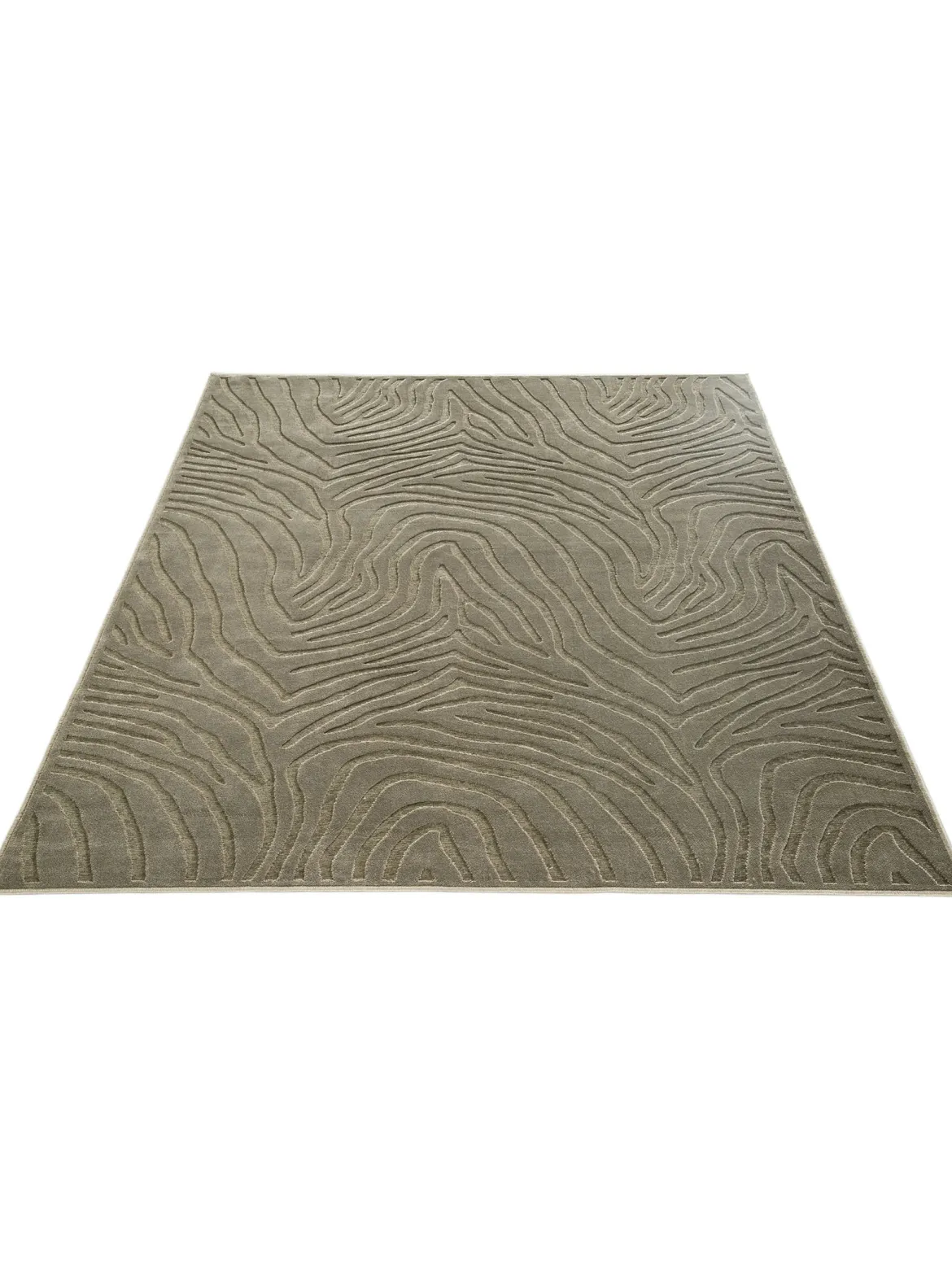 Savaro Moderner Teppich, Olive