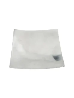 Shiny Schale, Silber