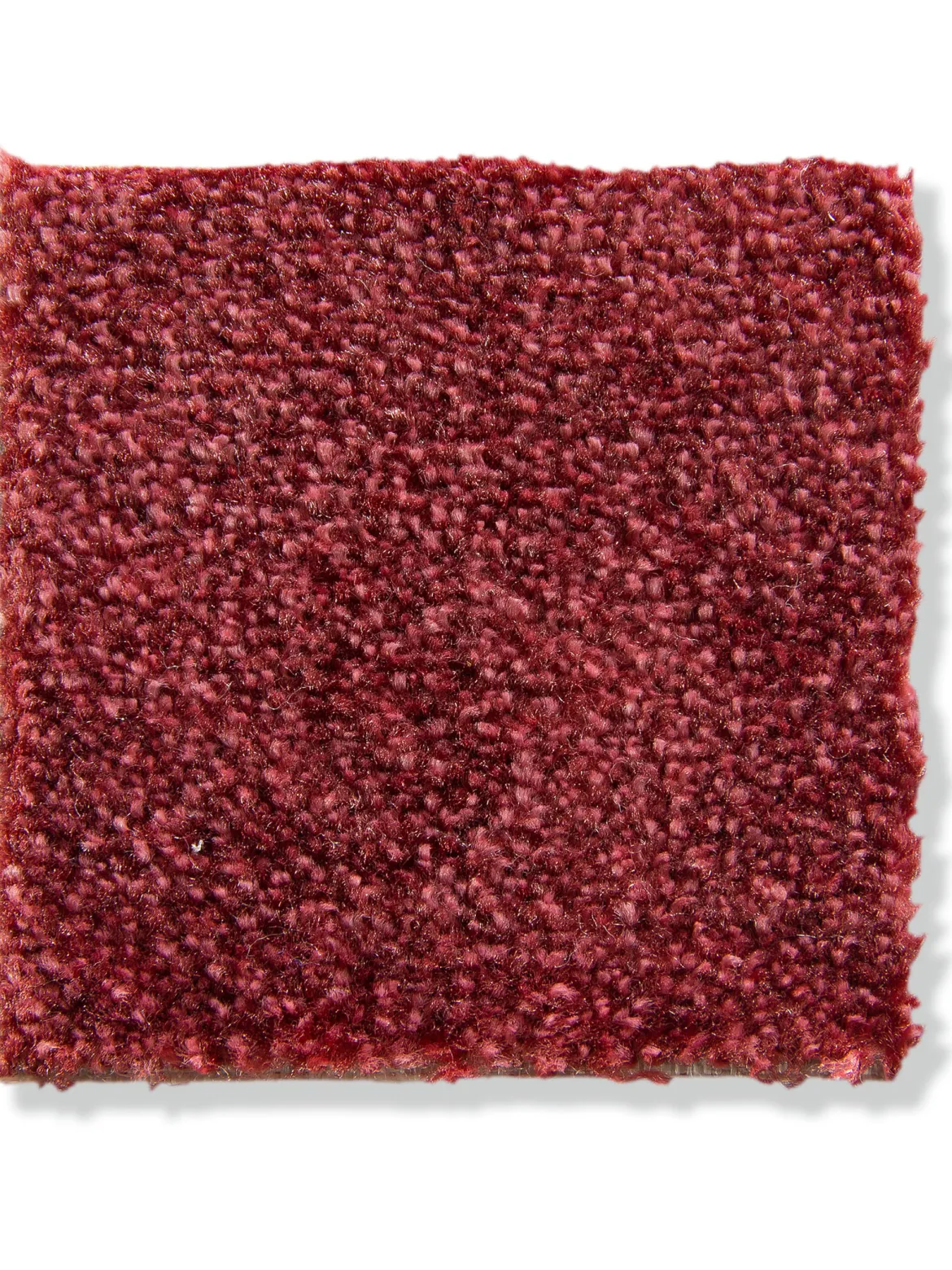 Siena Velours-Teppichboden, Beere 16