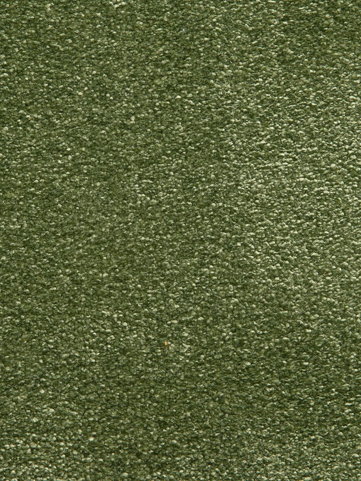 Sovereign Hochflor-Teppich, Forest