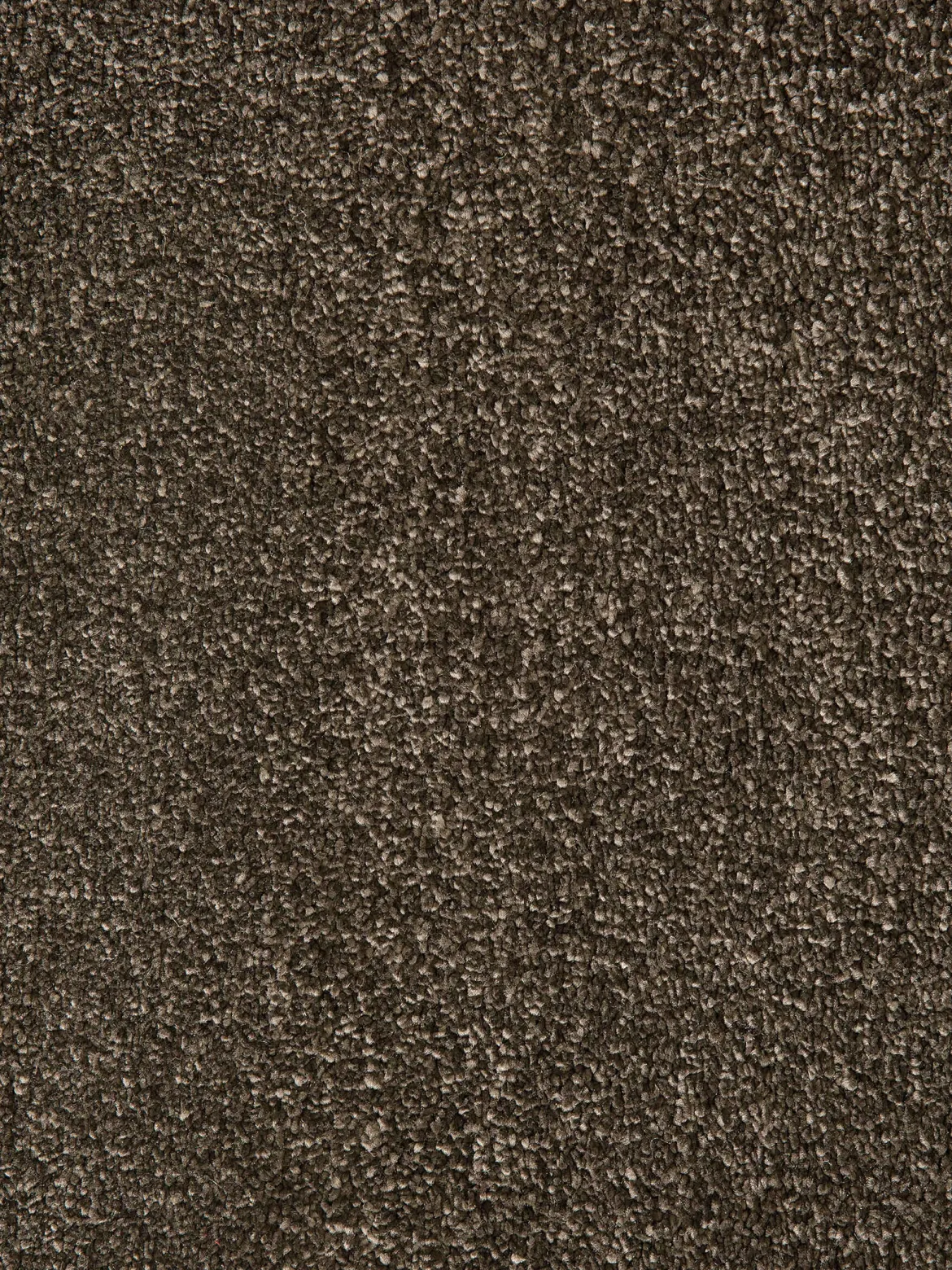Sovereign Hochflor-Teppich, Mocca