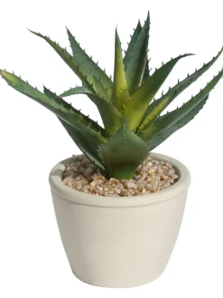 Sukkulente Thea Aloe Vera Kunstblume, Grün